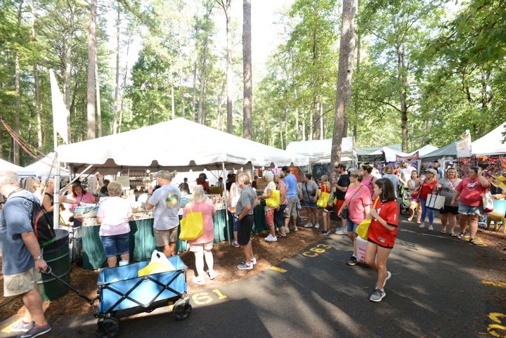 Yellow Daisy Festival at Stone Mountain Park: A Celebration of Arts, Crafts, and Music